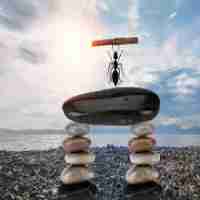 自‌动‌脚﻿本﻿软‍件﻿有‍哪﻿些​比‍较‍好‌用‍